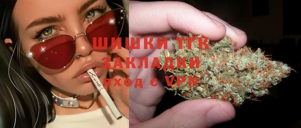 сатива Балахна