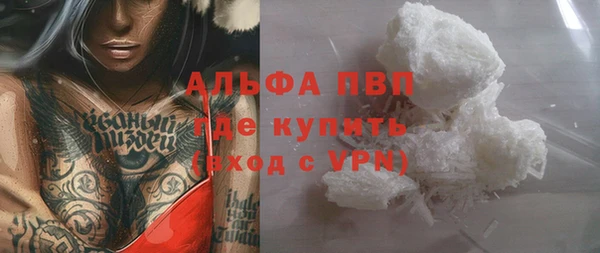 сатива Балахна