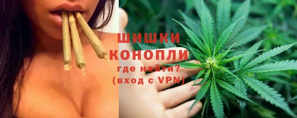 сатива Балахна