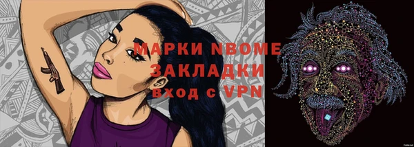 сатива Балахна