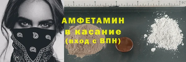 сатива Балахна